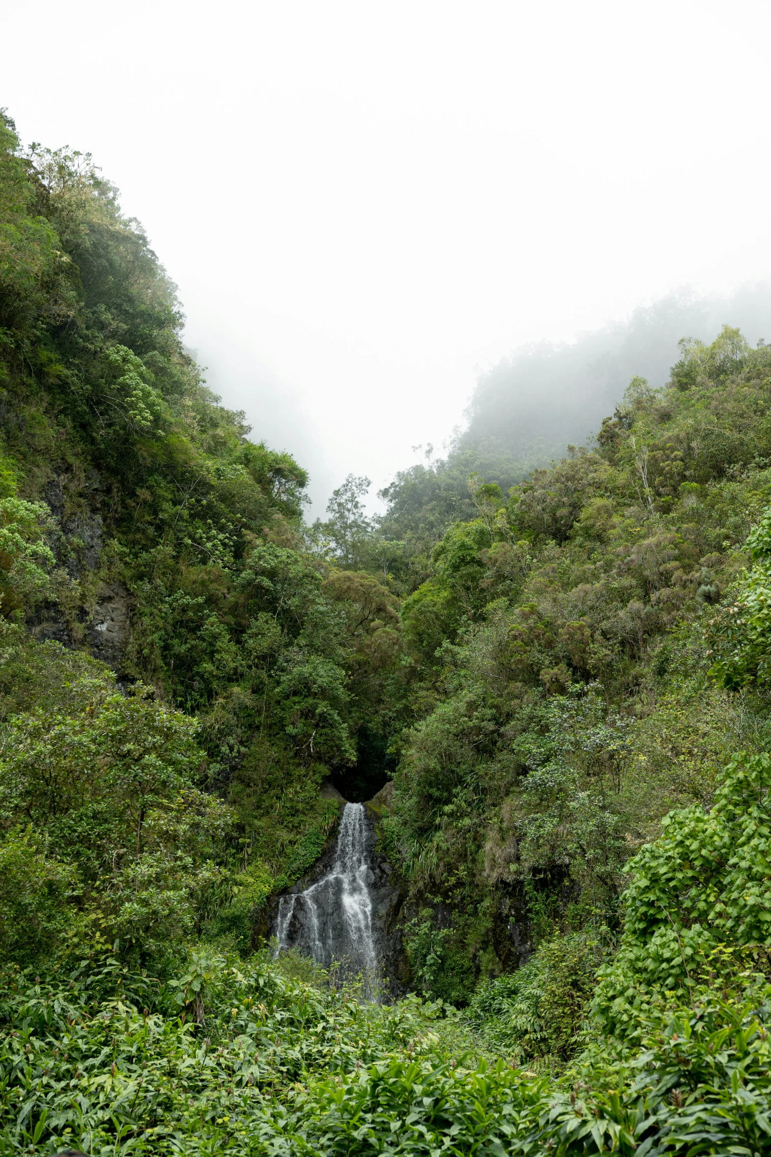 a waterfall in the middle of trees on a hillside