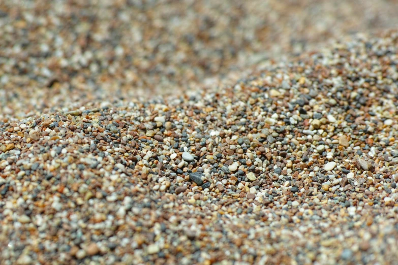 lots of small pebbles in sand next to each other