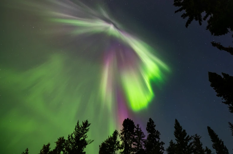 aurora lights are the focal of a beautiful show in the sky