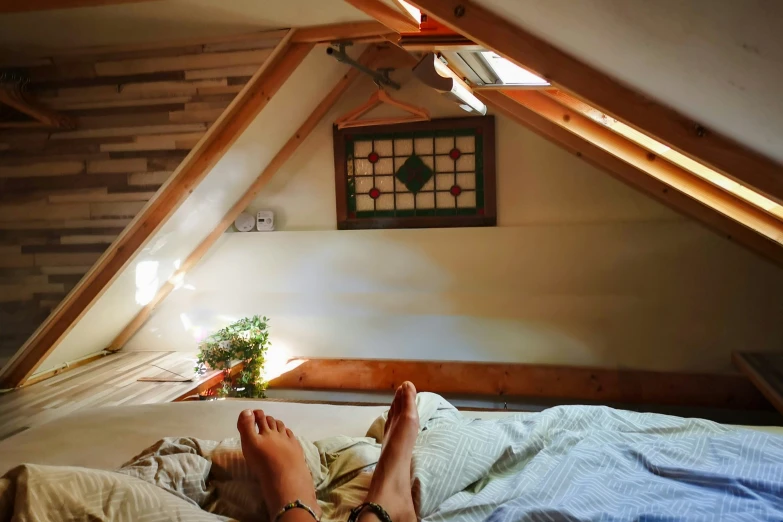 a person laying on a bed with a window and a potted plant