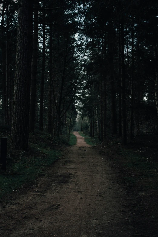 a dirt road leads through the woods on either side