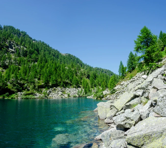 this mountain stream runs down into the river