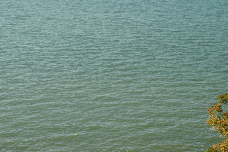 a lone sailboat floats on the water's edge