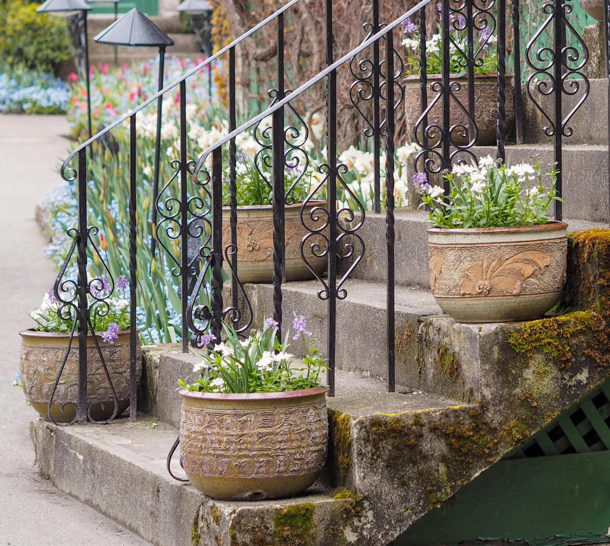 several pots with flowers and plants are set on the steps