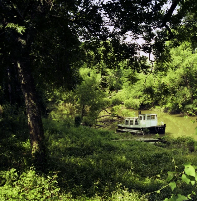 a boat tied up in the middle of a forest