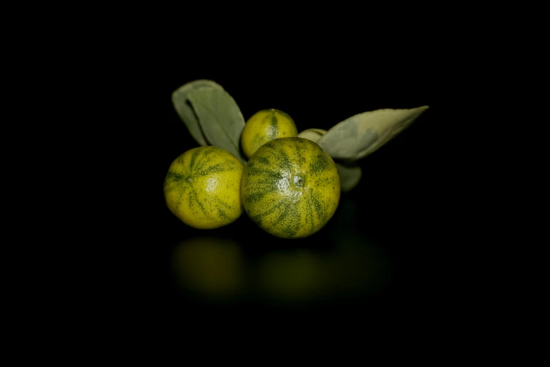 three yellow lemons next to one green leaf