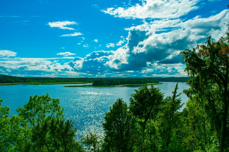 a very large body of water surrounded by trees