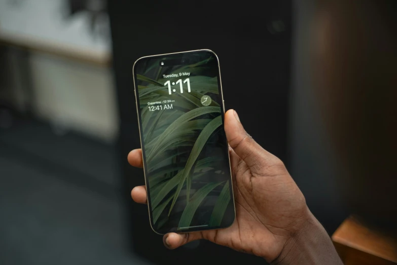 a person holding an iphone with a green leaf pattern