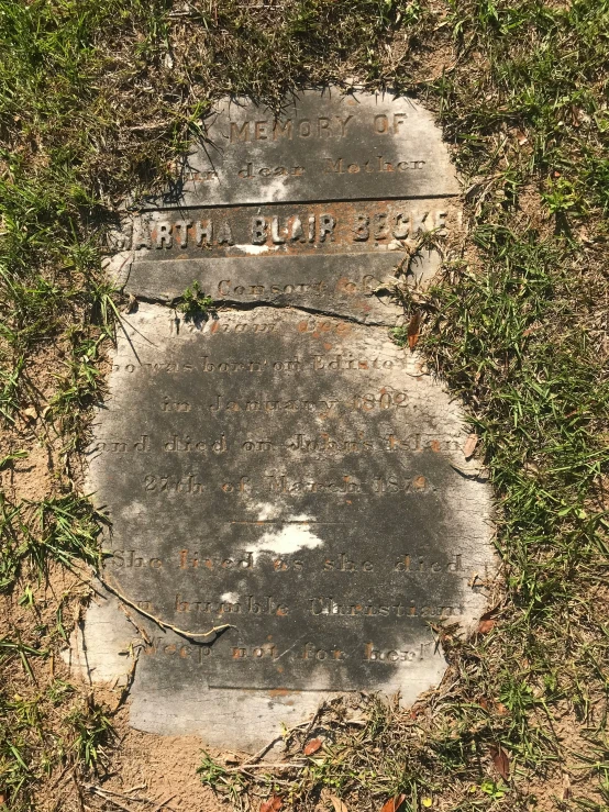 a grave laying on the ground in a field