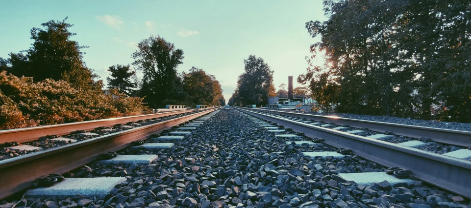 railroad tracks stretching away from trees and buildings