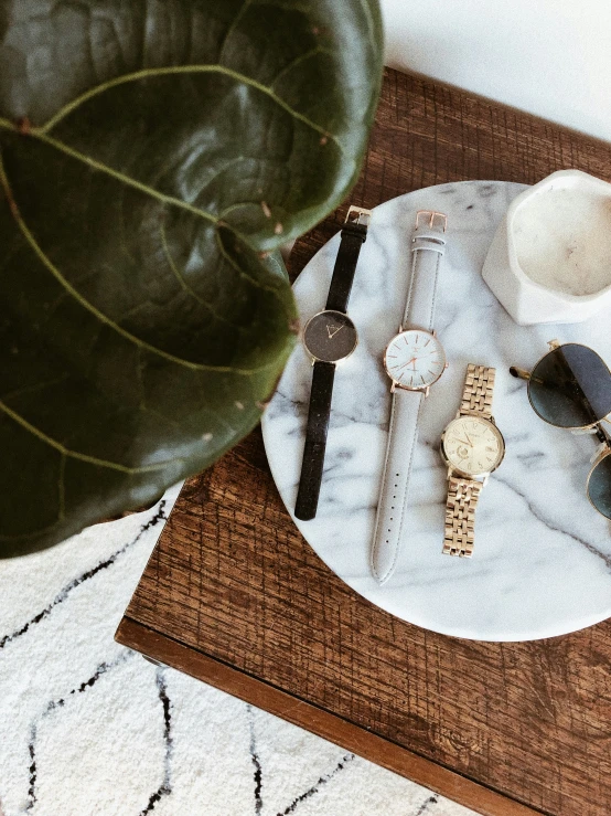 the marble plate with watches sits on a table next to a plant