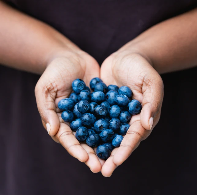 two hands are holding a bunch of blueberries