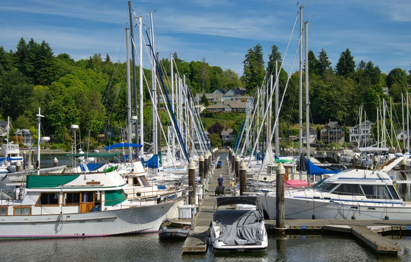 the boats are docked at the water's edge