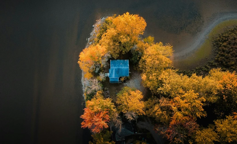 this aerial s shows an island and blue house in the middle of a grove of trees with yellow leaves on it