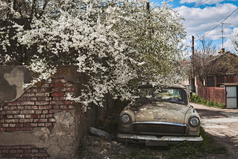 an old car sitting in front of a tree
