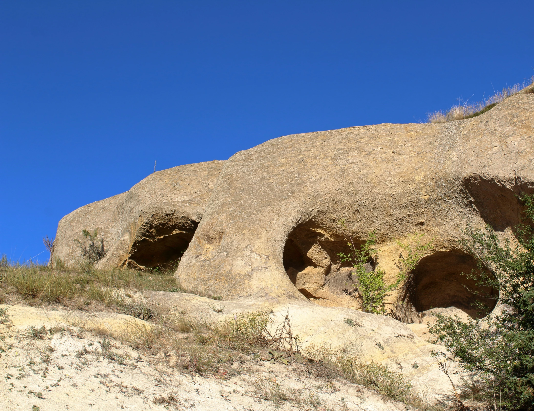 an animal is walking along a path that runs between the two large rocks