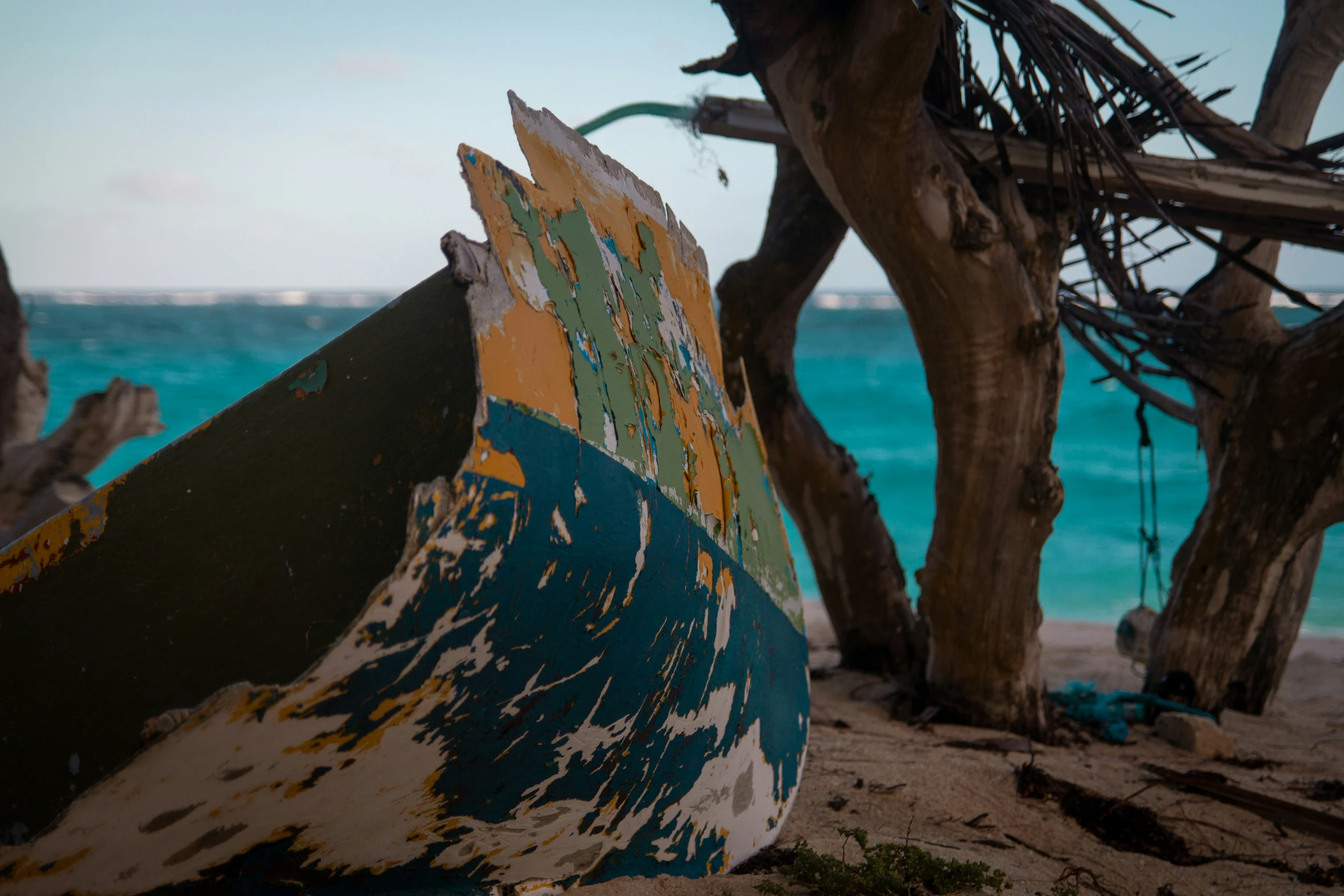 a rusted boat lies on the beach near a tree