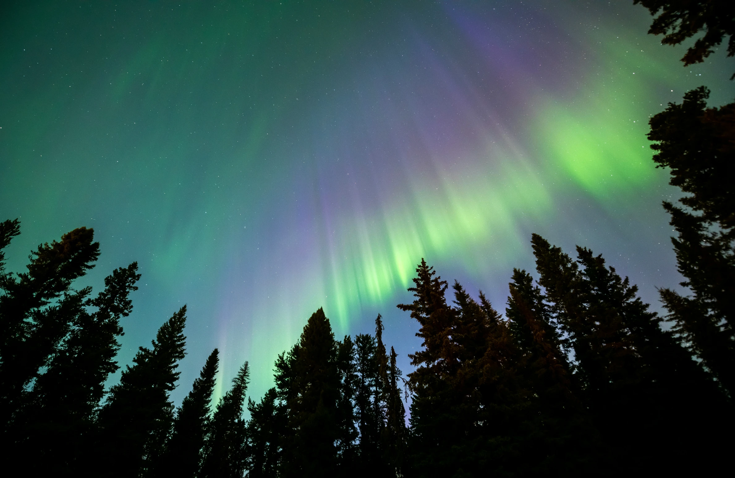 the aurora lights shine brightly in the night sky