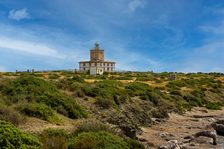 a tower in the middle of some bushes