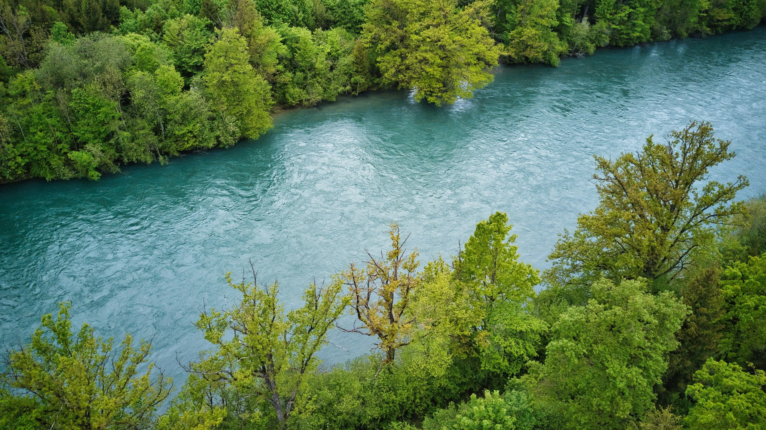 a river surrounded by trees with blue waters