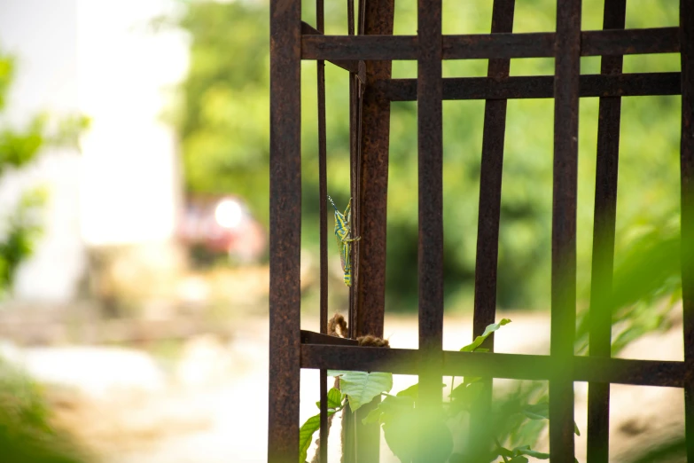 a metal grate with plants growing through it