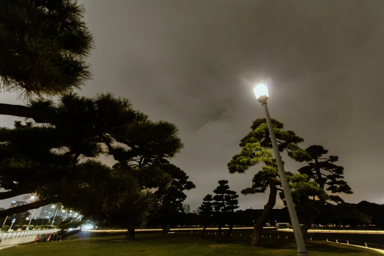 a view of a grassy field under a lamp post