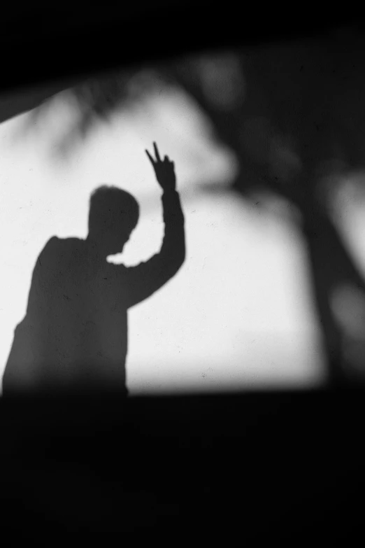 silhouettes of a person and trees on a television screen