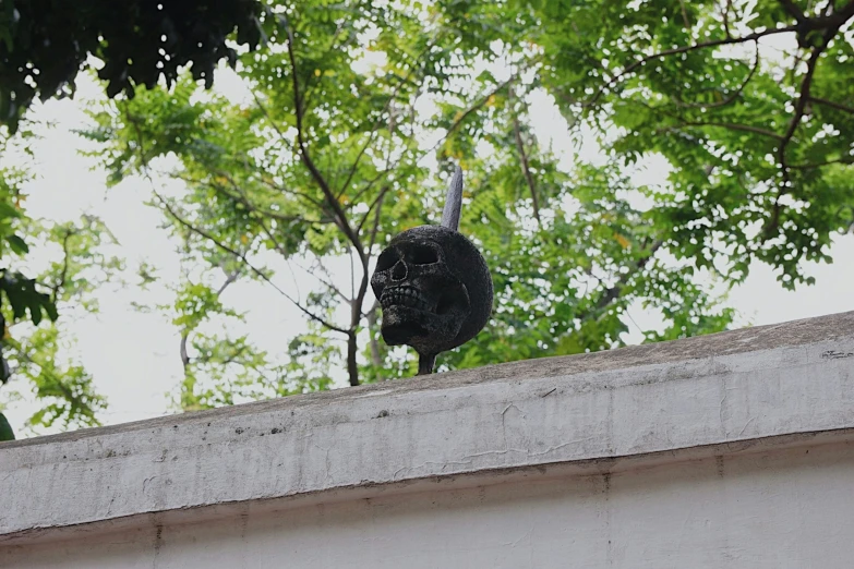 a bird perched on top of a building next to trees