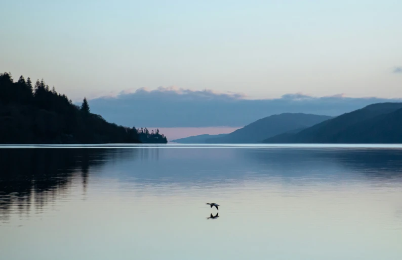 two birds standing on water near mountains in the background