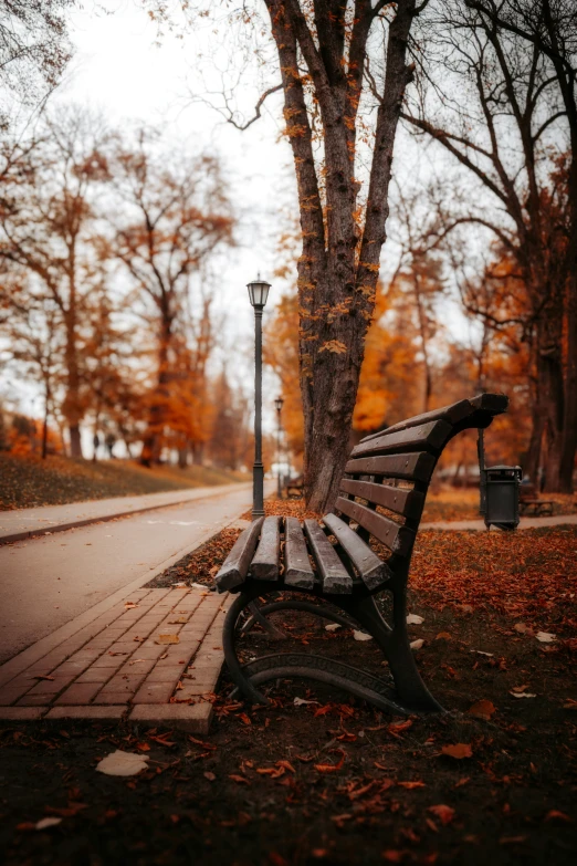 a bench that is on the side of a road