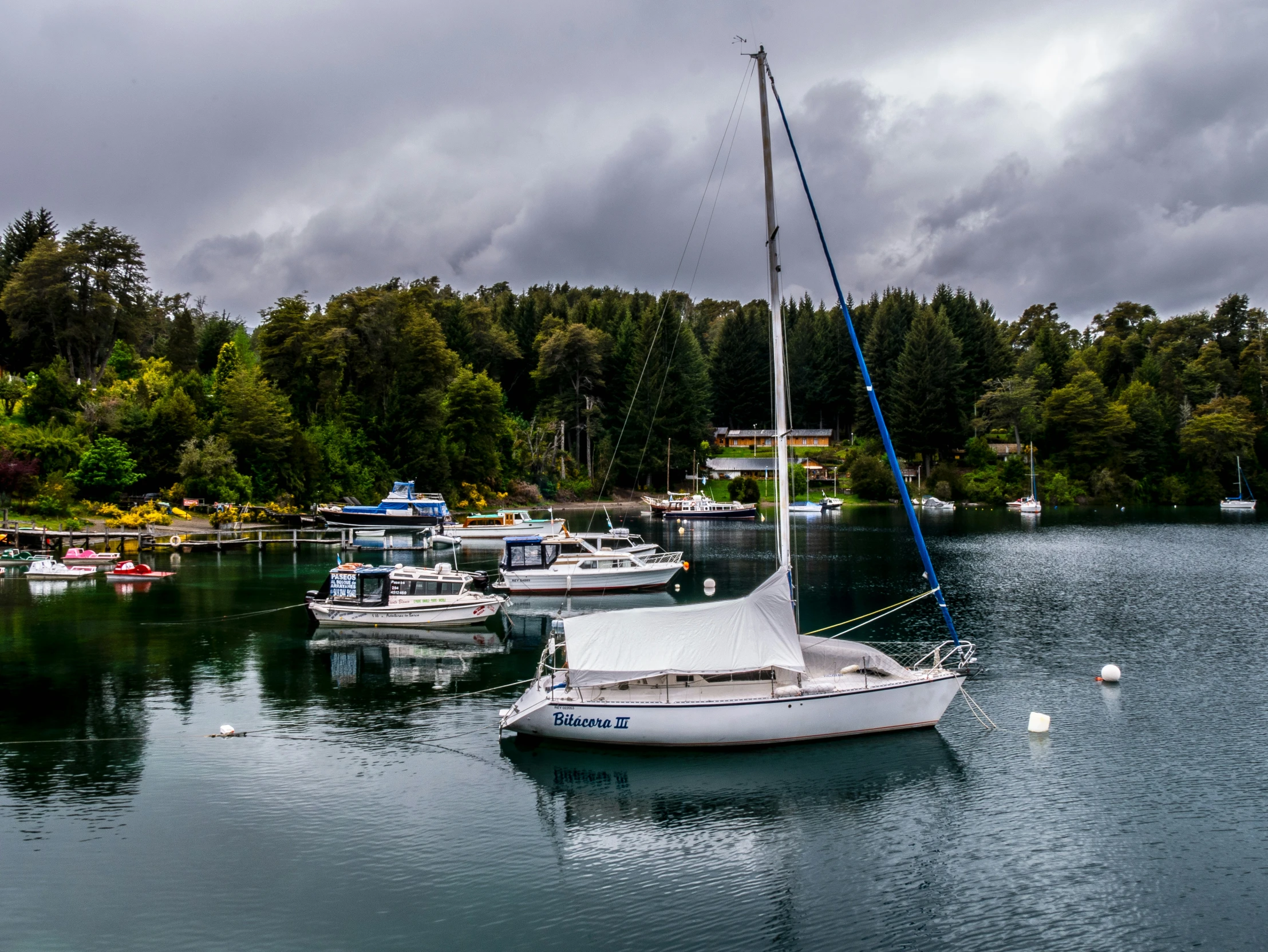 several sail boats on a lake, with a cloudy sky overhead