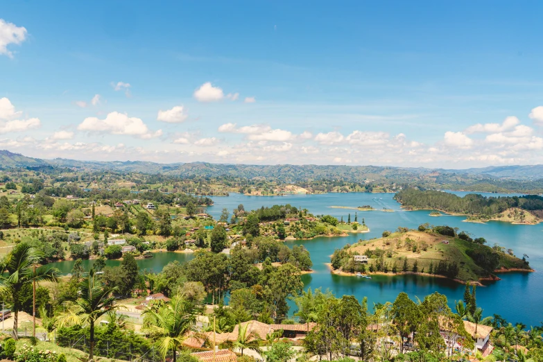 a blue lake surrounded by trees in the middle of a forest