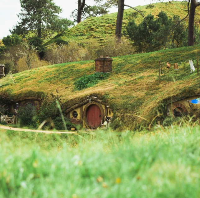 this is a small home with grass on top