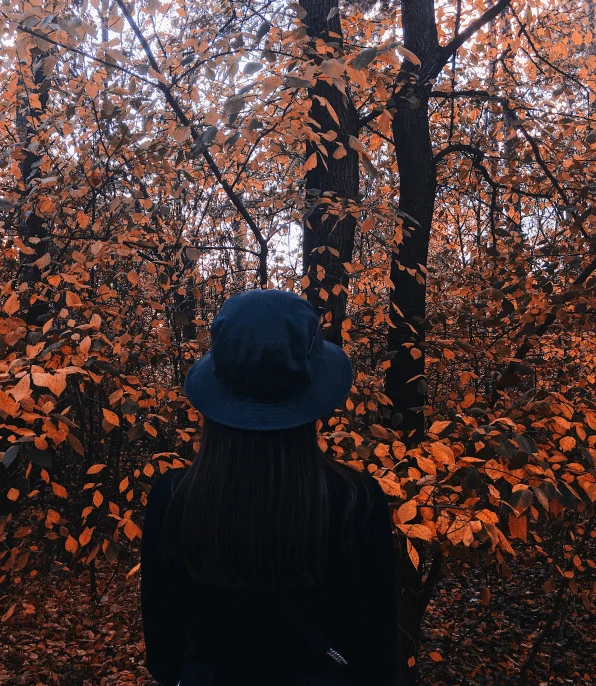person in hat looking at trees on orange and blue leaves