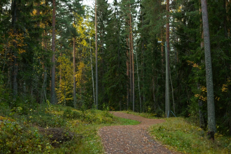 a dirt road in front of some trees