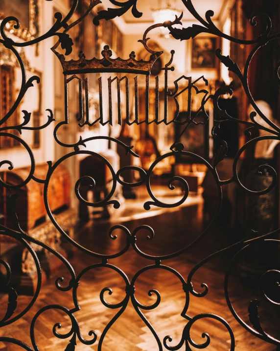 a iron gate with metal accents and design