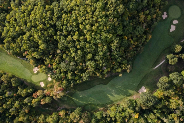 top view of several golf courses and trees with green grass