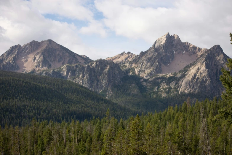 mountains in the distance near evergreen trees and forest