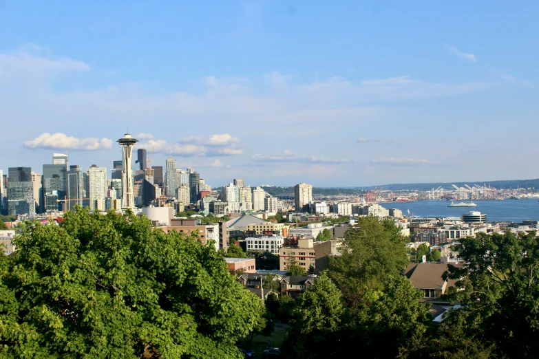 a city view of a large city with high rises