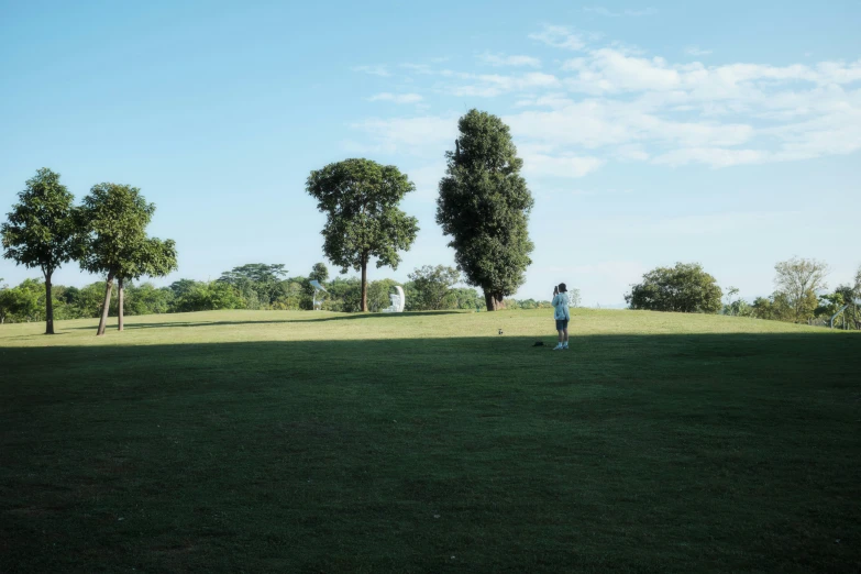 a man in the grass is about to fly a kite