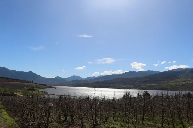 a lake with mountains in the background