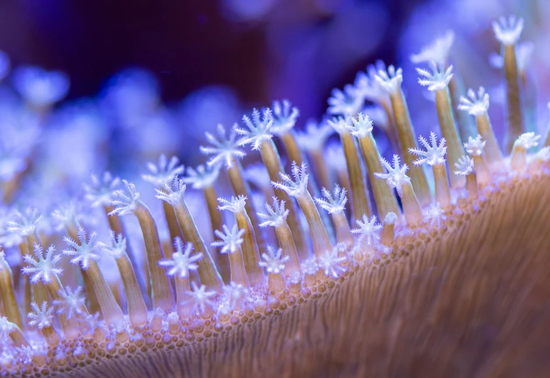 some plants sticking out of some type of plastic