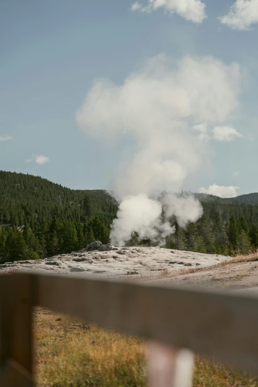 a geyser is in the middle of the grass