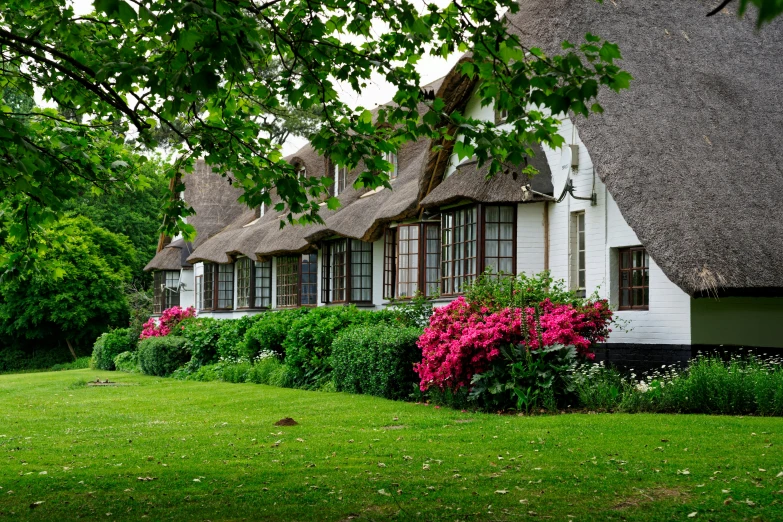 a row of thatched roof homes with flowers and trees