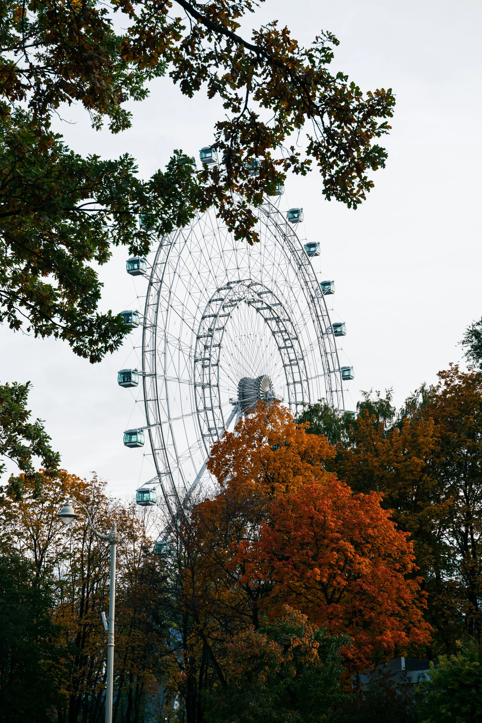 trees surrounding a large white metal object