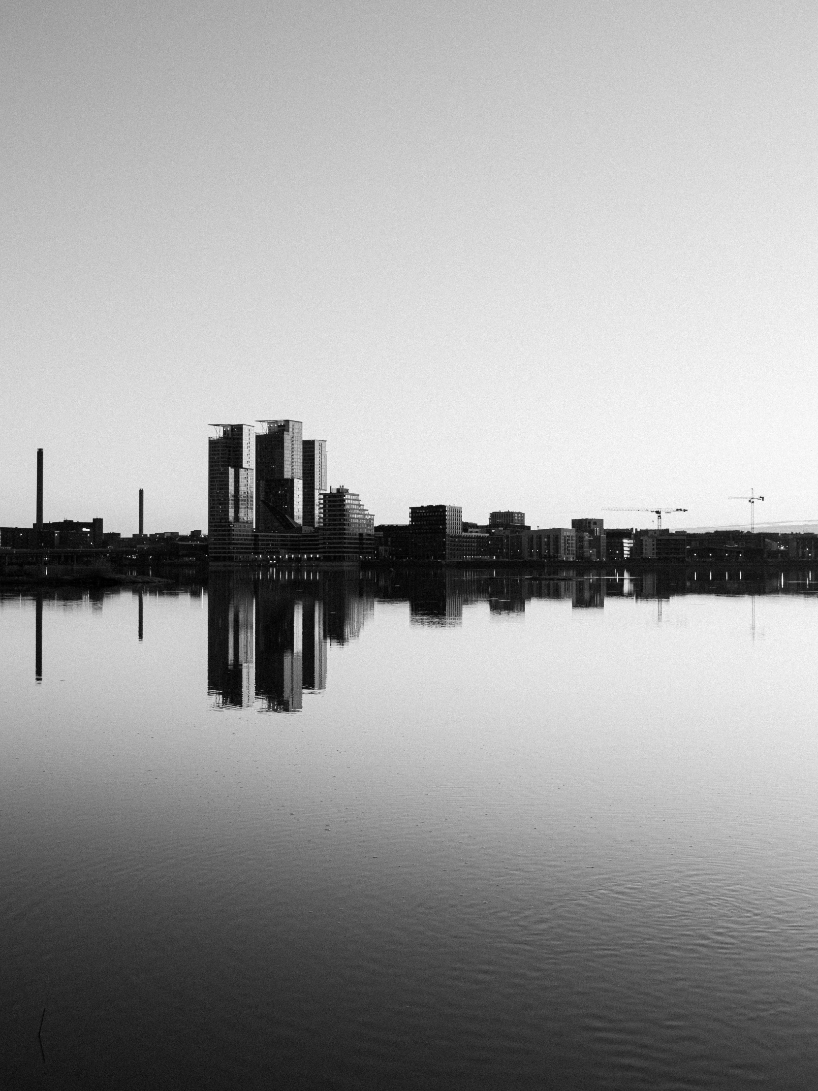 this is a black and white po with a city in the background