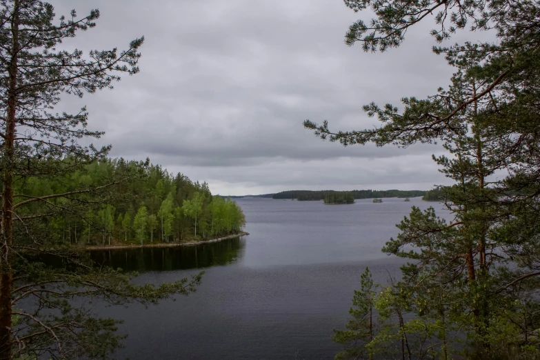 the trees are on both sides of a body of water