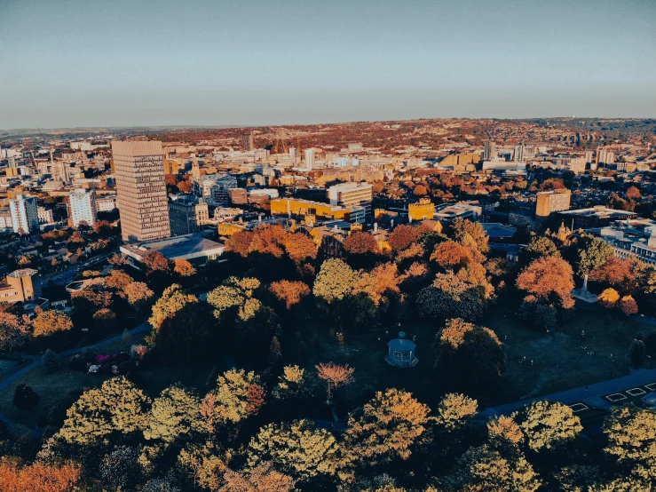 an aerial view of the city with trees in the foreground