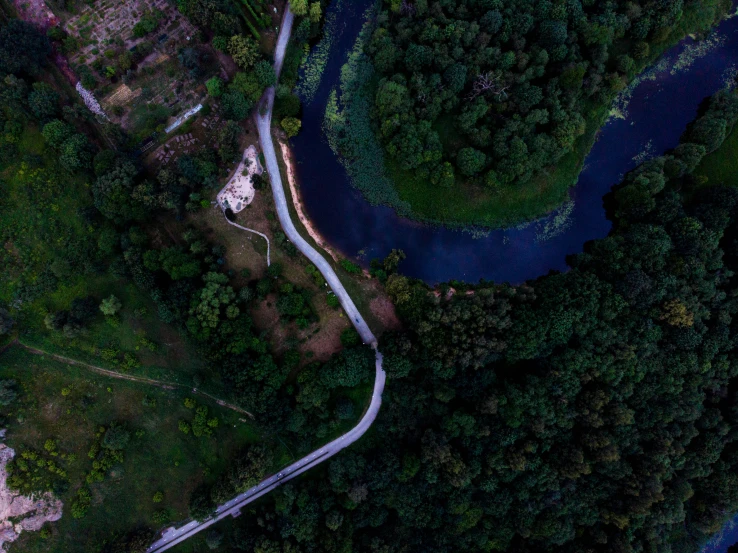 a long winding road in the middle of a forest