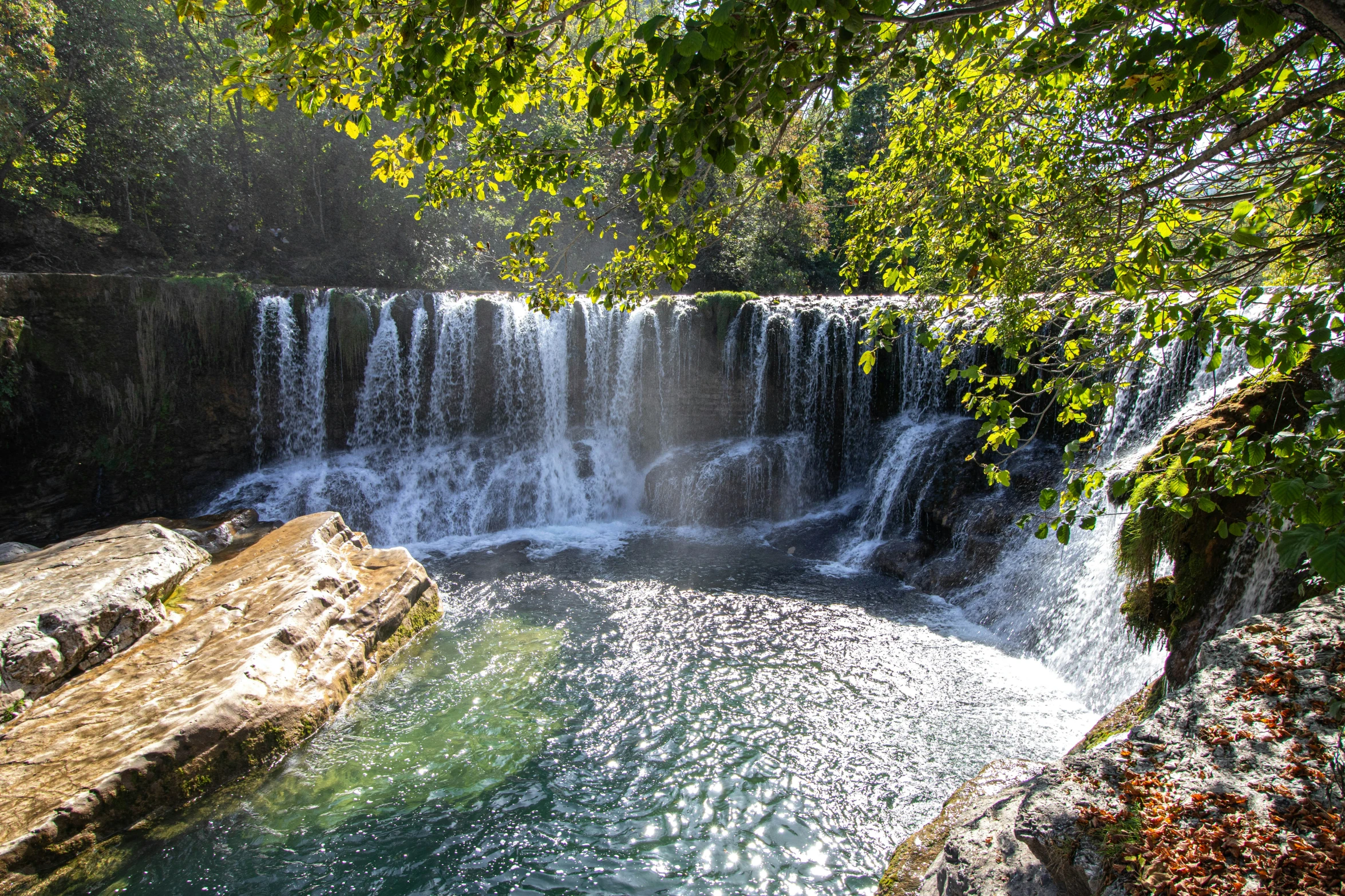 a waterfall sits above the trees near the river